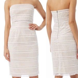 “Adrianna Papell” Eyelet Lace Dress (Sz-6)